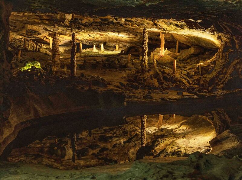 GQ7A9299 copy (1)(1).jpg