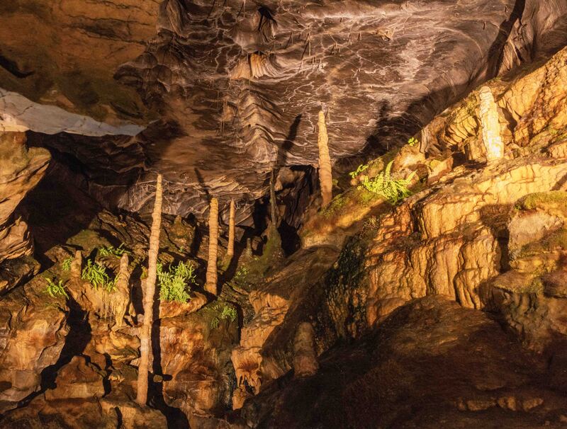 GQ7A9362 copy (1).jpg