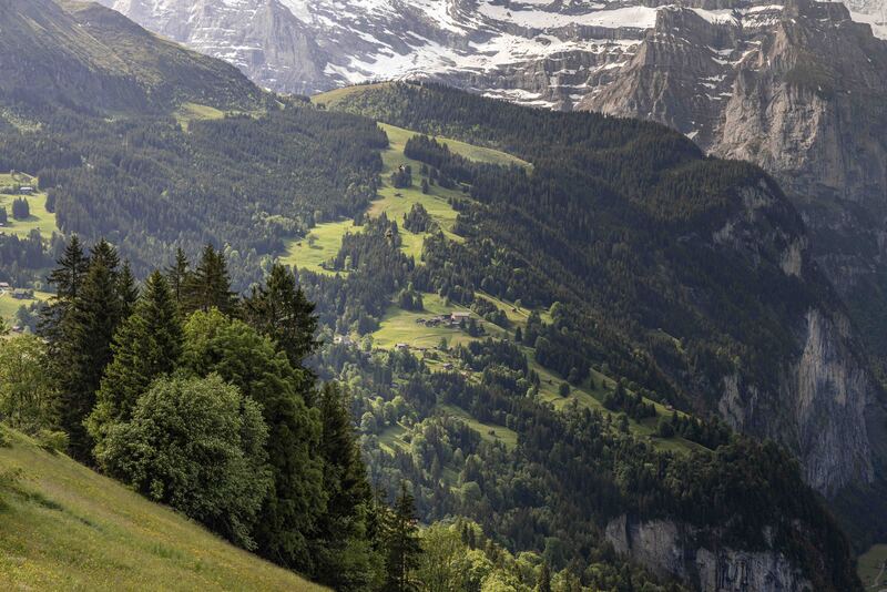 GQ7A9531 copy (1).jpg :: We guessed that the far trail is the route of the Lauberhornen Downhill which finishes just above Wengen.