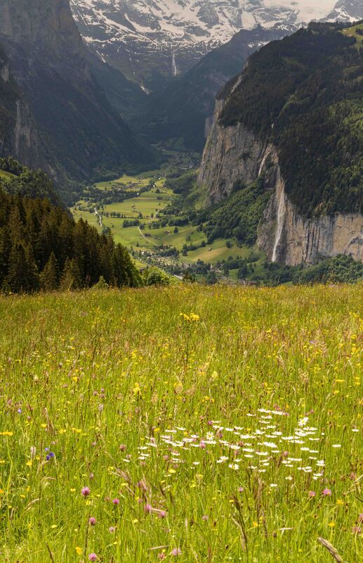 GQ7A9659 copy (1).jpg