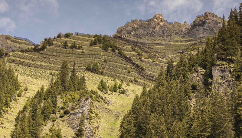 GQ7A9732-2 copy (1).jpg