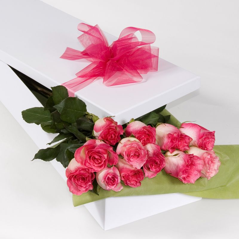 Commercial  Product 26.jpg