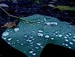 33-1196521269.jpg