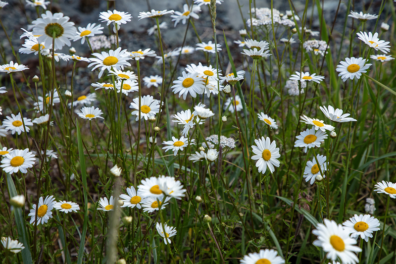 5G7A0022_R1 copy.jpg