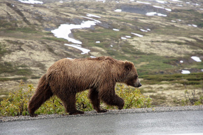 5G7A0040_R1 copy.jpg