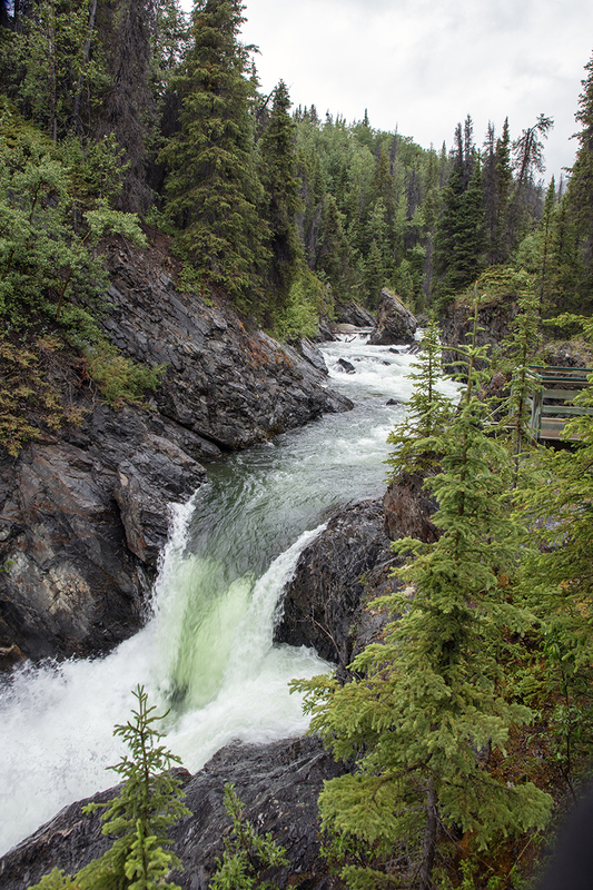 5G7A0051_R1 copy.jpg