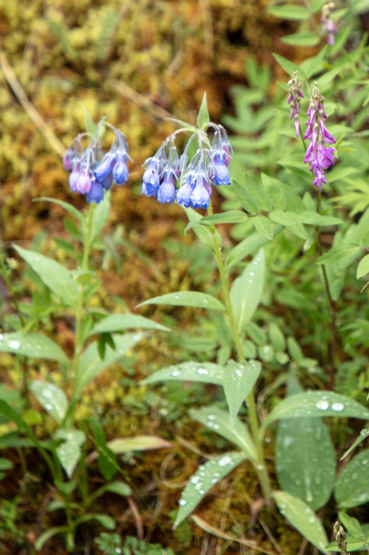 5G7A0065_R_1 copy.jpg