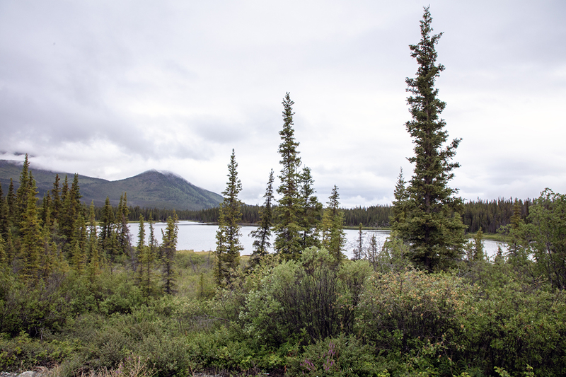 5G7A0137_R1 copy.jpg