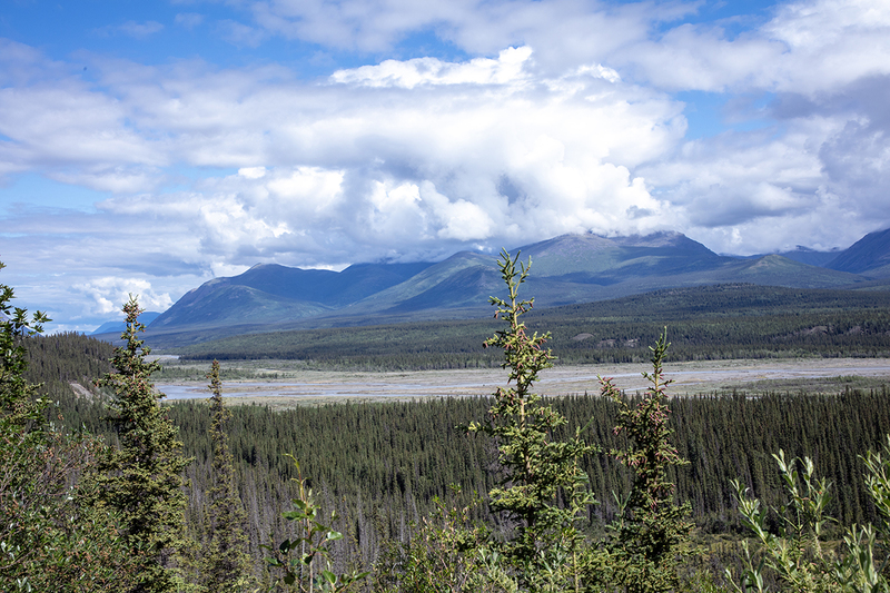 5G7A0152_R1 copy.jpg