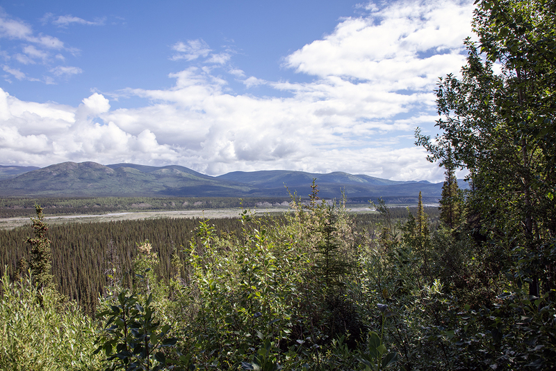 5G7A0153_R1 copy.jpg