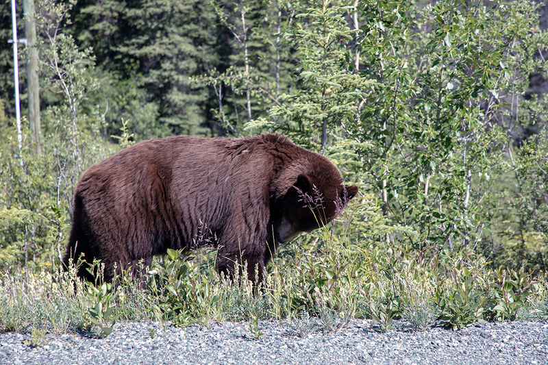 5G7A0156_R1 copy.jpg