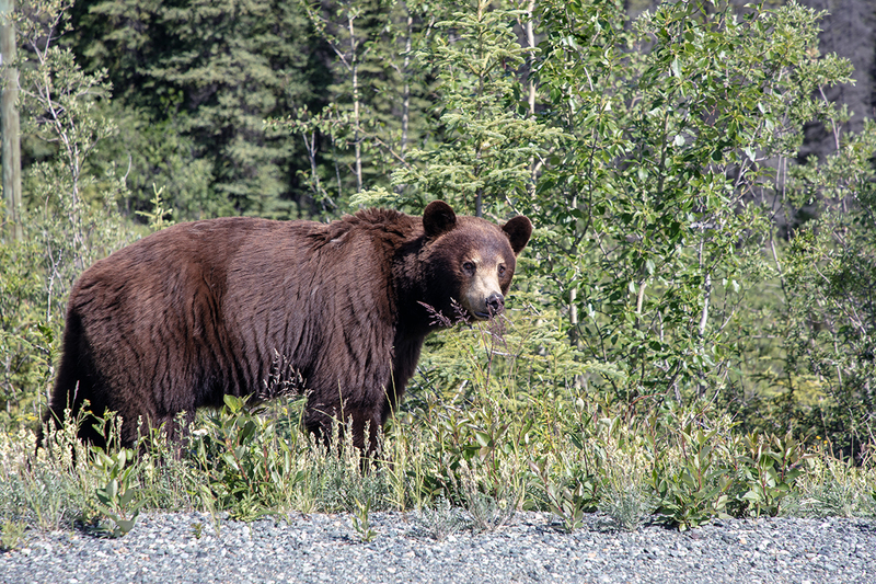 5G7A0160_R1 copy.jpg