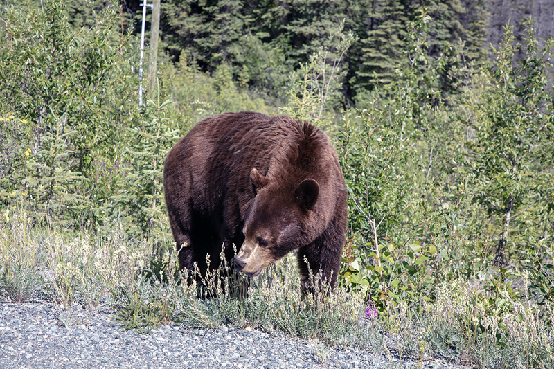 5G7A0179_R1 copy.jpg