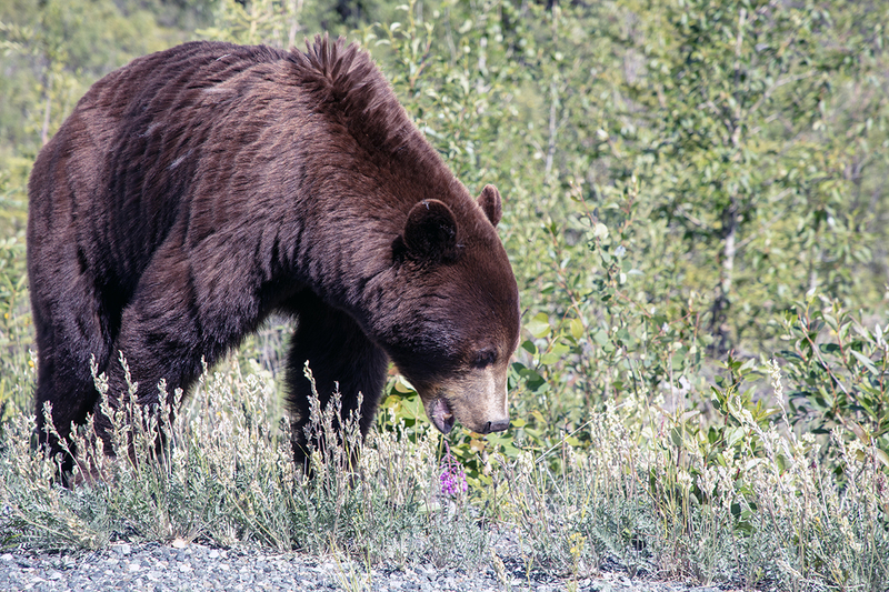 5G7A0189_R1 copy.jpg