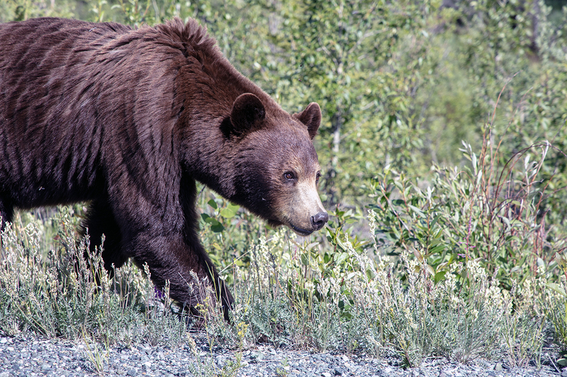 5G7A0192_R1 copy.jpg