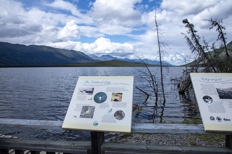 5G7A0217_R1 copy.jpg