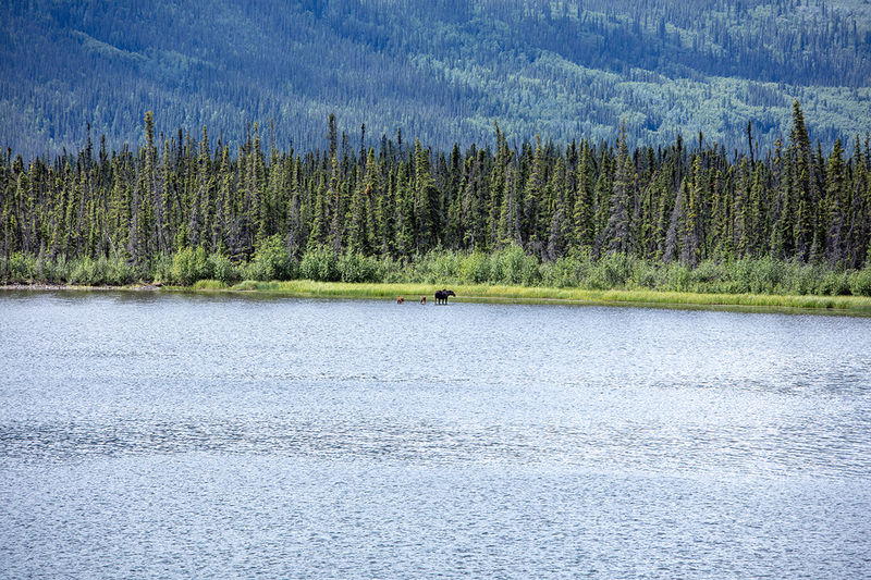 5G7A0220_R1 copy.jpg