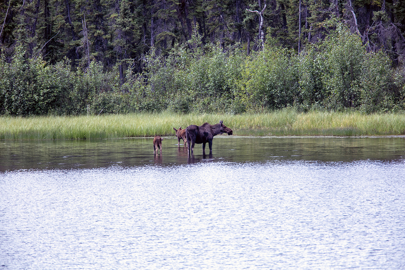 5G7A0244_R1 copy.jpg