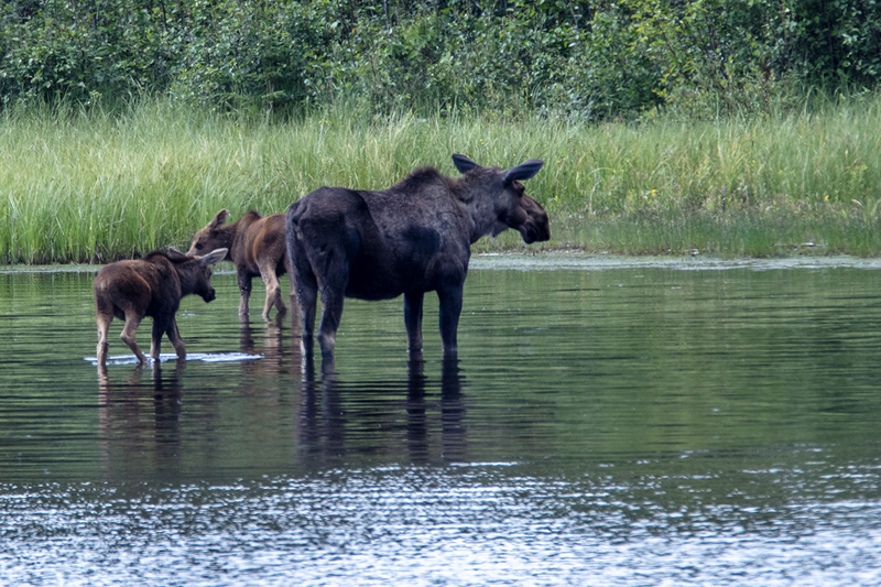 5G7A0259_R1 copy.jpg