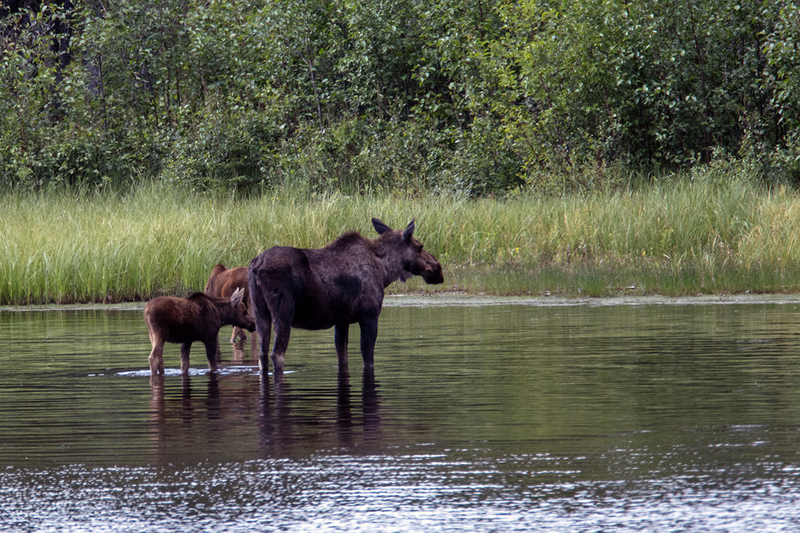 5G7A0261_R1 copy.jpg