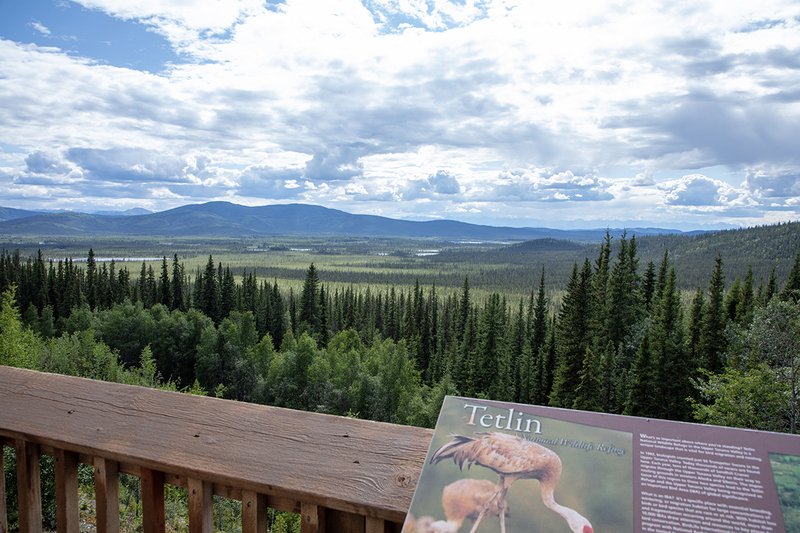 5G7A0287_R1 copy.jpg