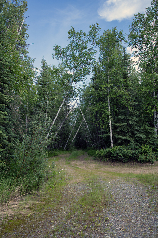 5G7A0321_R1 copy.jpg