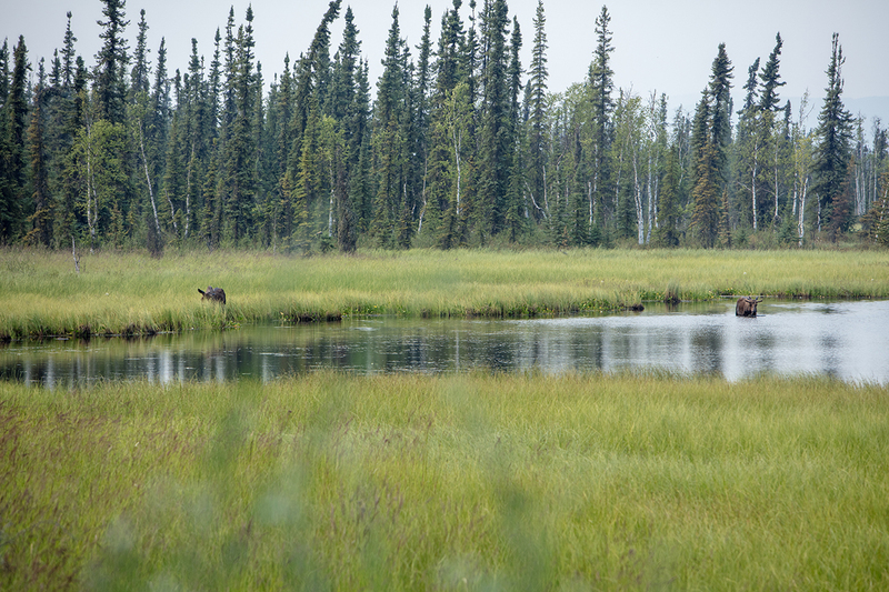 5G7A0353_R1 copy.jpg