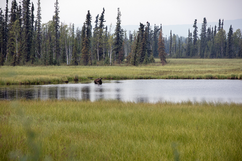 5G7A0355_R1 copy.jpg