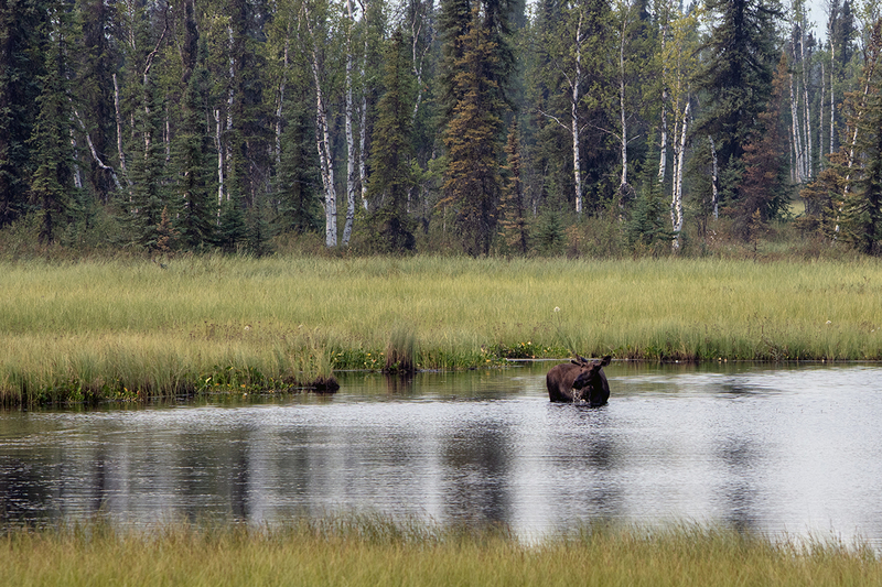 5G7A0355_R1_1 copy.jpg