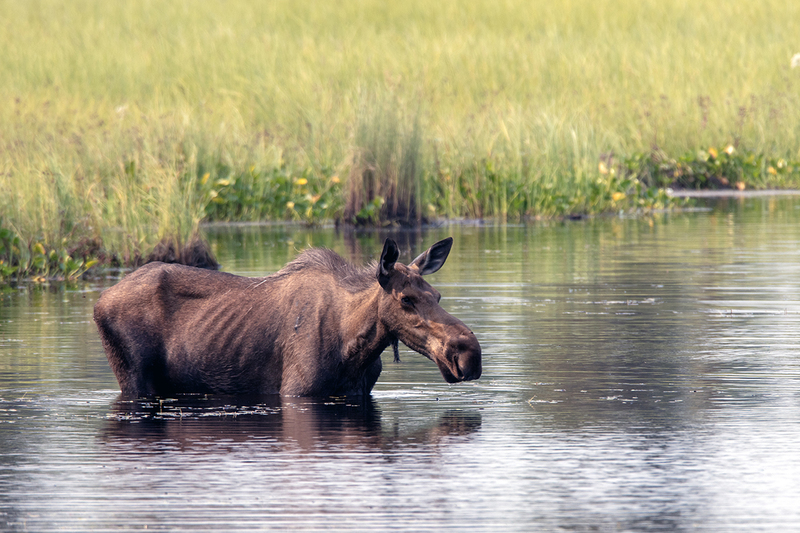 5G7A0367_R1 copy.jpg