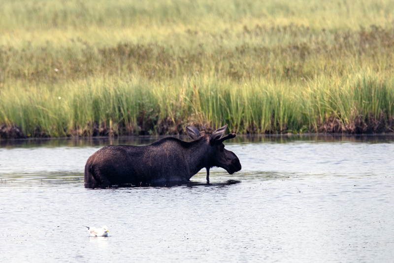 5G7A0377_R1 copy.jpg