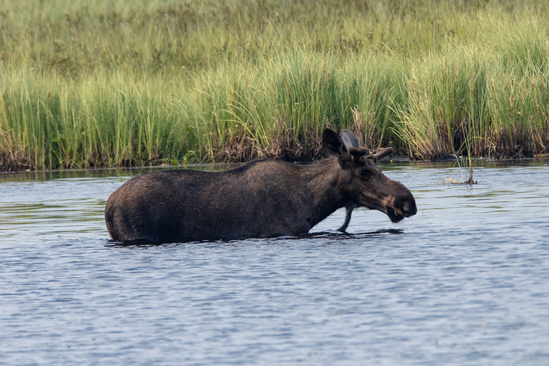 5G7A0410_R1 copy.jpg