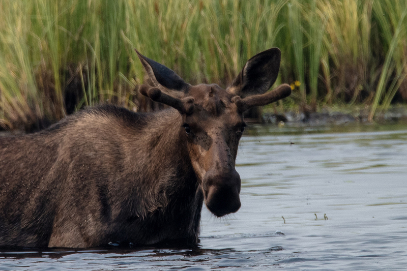 5G7A0432_R1_1 copy.jpg