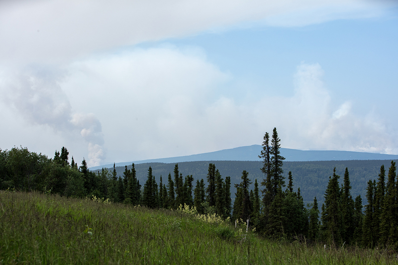 5G7A0459_R1 copy.jpg