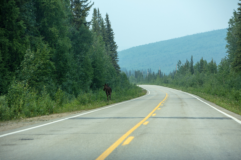 5G7A0464_R1 copy.jpg