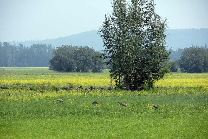 5G7A0485_R1 copy.jpg