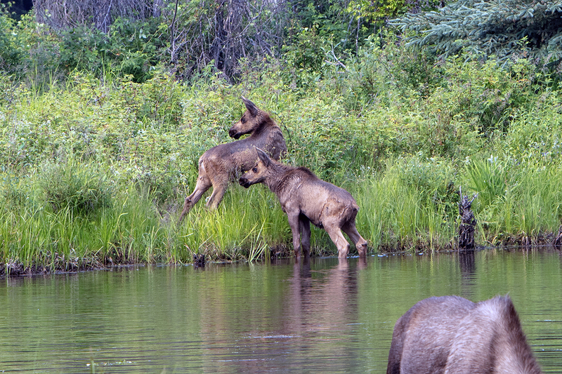 5G7A0487_R1 copy.jpg