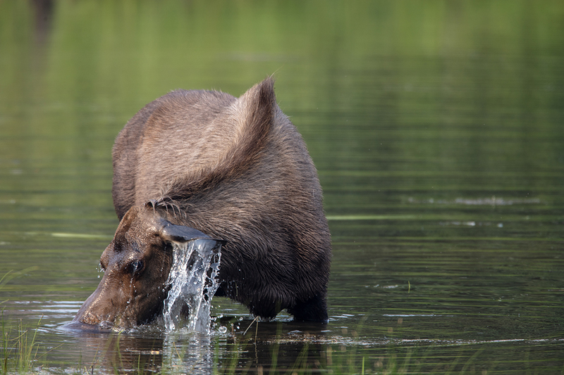 5G7A0508_R1 copy.jpg