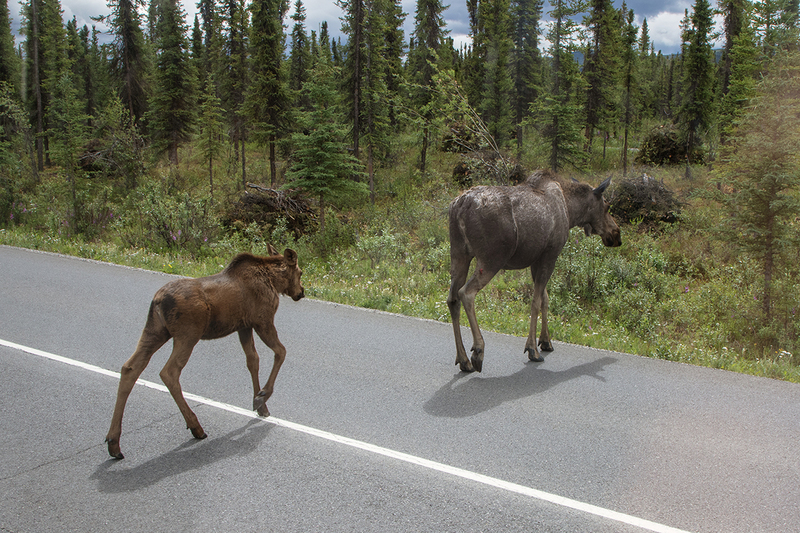 5G7A0658_R1 copy.jpg