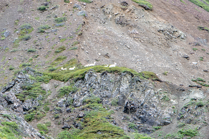 5G7A0704_R1 copy.jpg