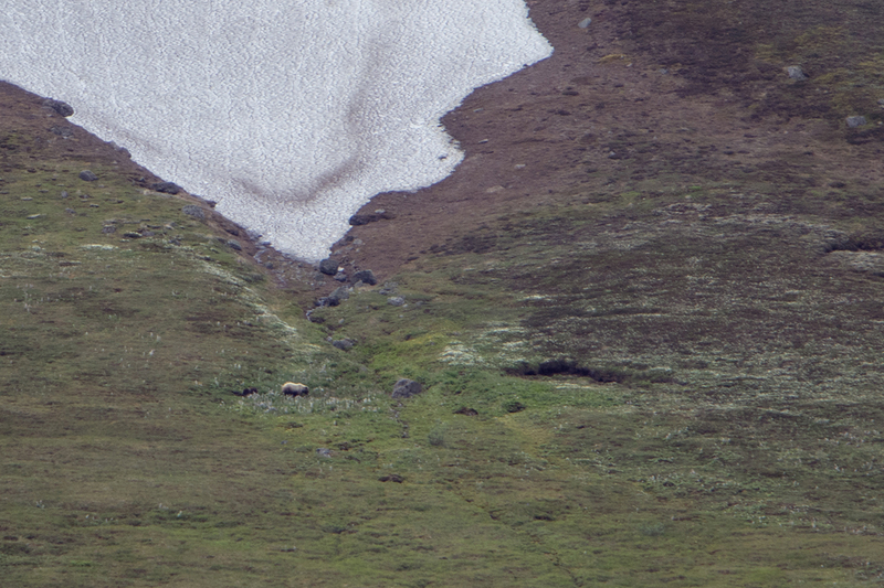 5G7A0725_R1 copy.jpg