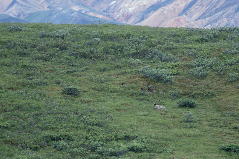 5G7A0757_R1 copy.jpg