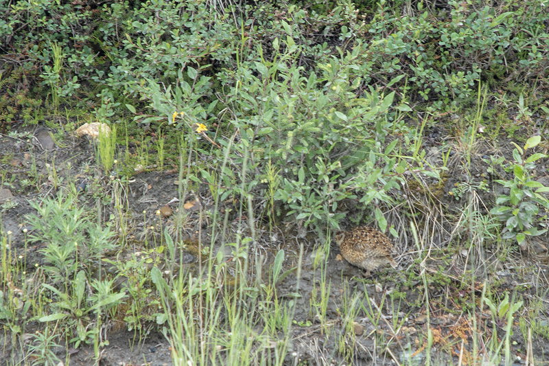 5G7A0830_R1 copy.jpg