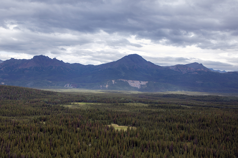 5G7A0849_R1 copy.jpg