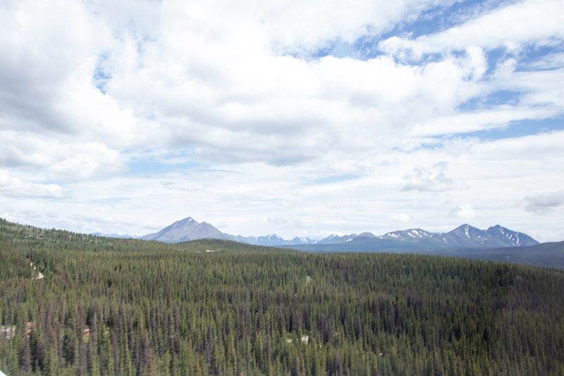 5G7A1136_R1 copy.jpg