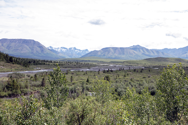 5G7A1140_R1 copy.jpg