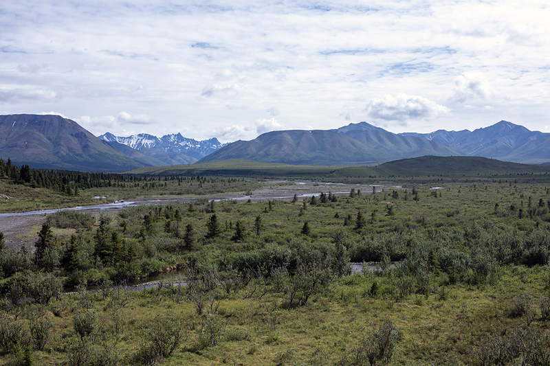 5G7A1155_R1 copy.jpg