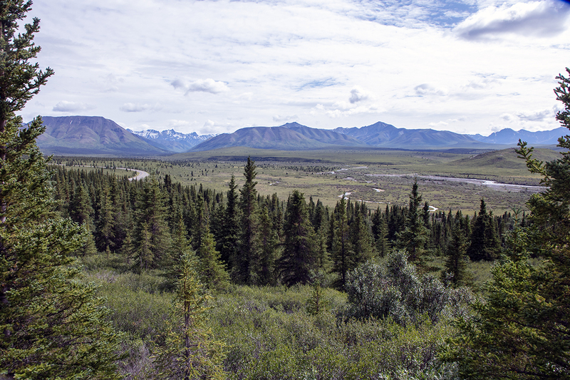 5G7A1185_R1 copy.jpg