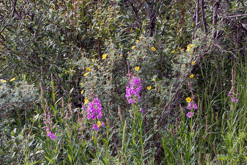 5G7A1234_R1 copy.jpg