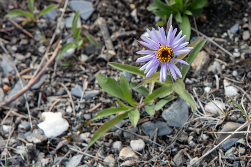 5G7A1247_R1 copy.jpg